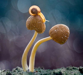 短信狂轰滥炸软件